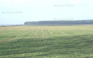 AFUMATI - Tarla 9, teren agricol in suprafata de 35.000 mp. - Poză 1