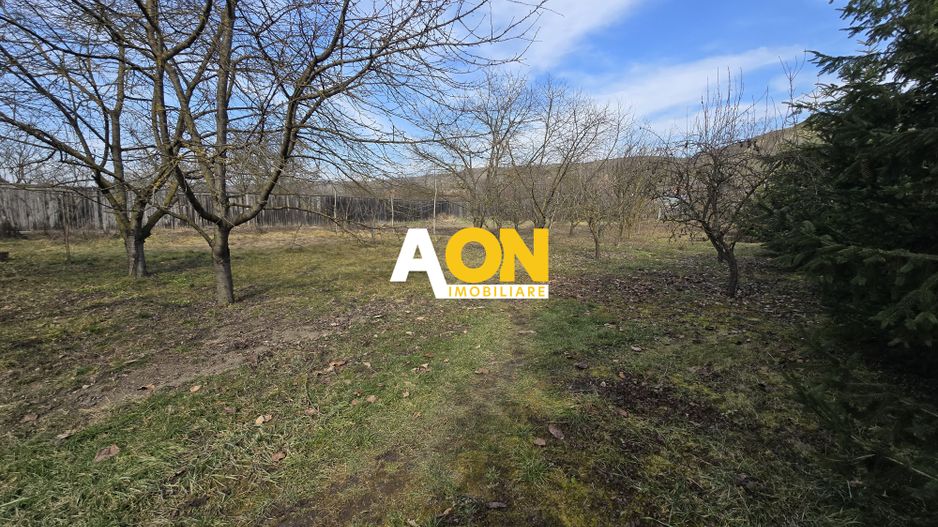 Casa 3 camere 2600mp Teren, Gura Ariesului - Poză 17