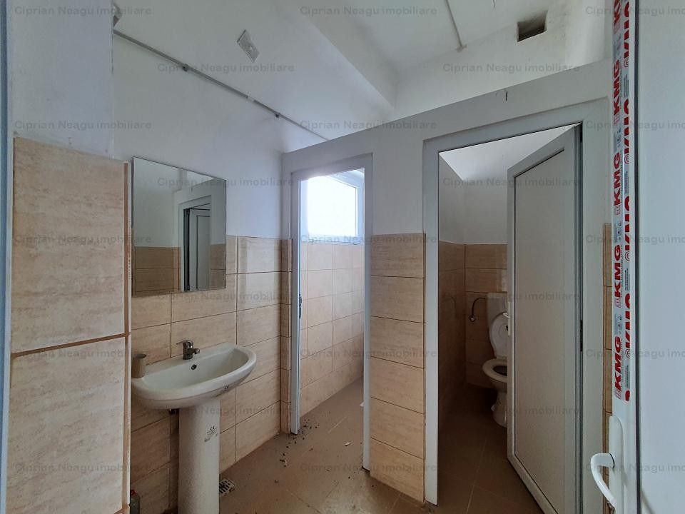 Hala De Inchiriat, zona Depozitelor Pitesti - Poză 10