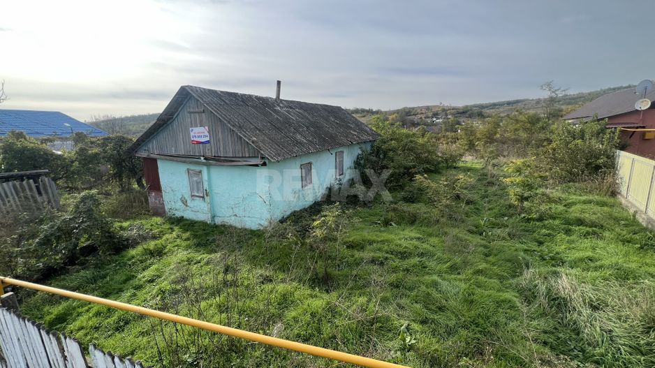 Teren pentru Constructii 32 Ari in Molesti - Poză 5