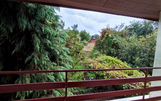 Casa de închiriat | Zonă centrală - Zona Facultății de Medicină - Poză 7