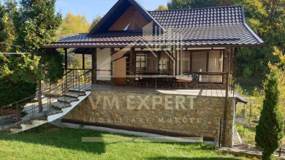 VILA  7 CAMERE, TEREN 5000 MP, GODENI, ARGES - Poză 2