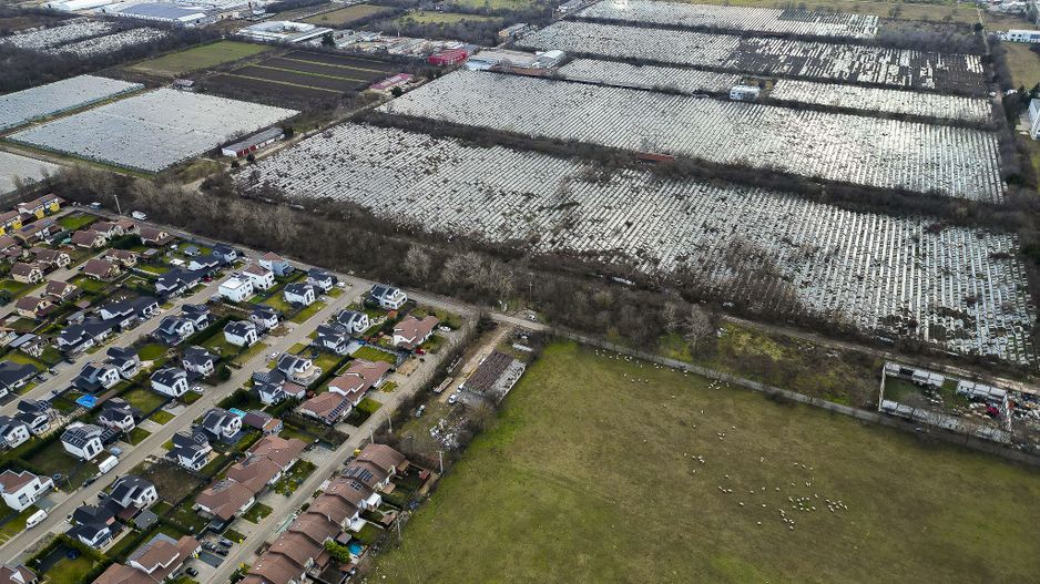 Teren Intravilan de 15.300 mp în Grădiște, Arad - Poză 4