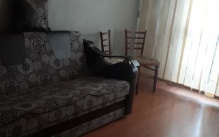 Apartament 2 camere decomandat de inchiriat, cartier Dacia, Iasi - Poză 2