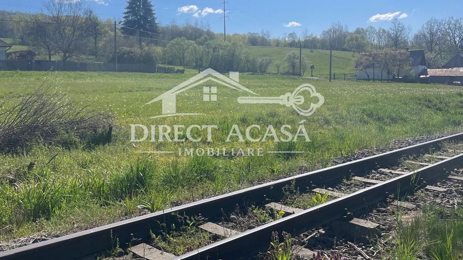 Teren intravilan 8900 mp-Sacadat-Sovata - Poză 2