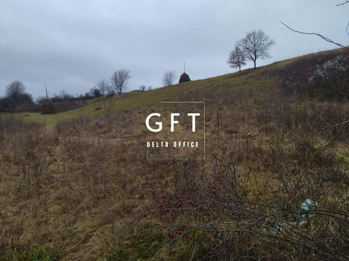 Teren intravilan de vanzare in  Viisoara - Poză 4