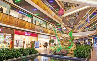 Vila individuala D+P+1+M 380mp utili - Poză 6