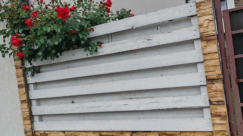 Apartament 3 camere/Două bai/curte proprie și parcare - Poză 8