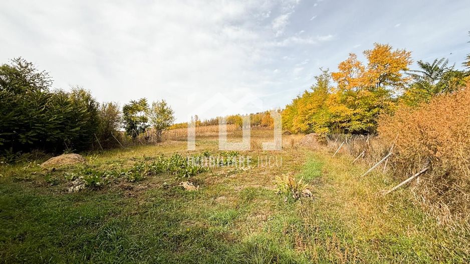1.838 mp Construibil | Front 25,6 m | Zonă Rezidențială – Gădălin - Poză 6