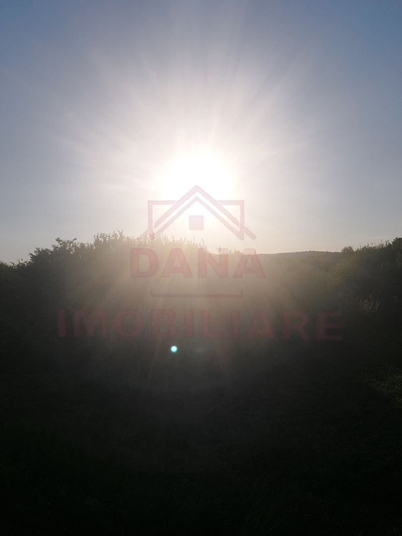 TEREN DE VÂNZARE-32480 mp CARANSEBEȘ JUD.CS,  0% COMISION - Poză 3