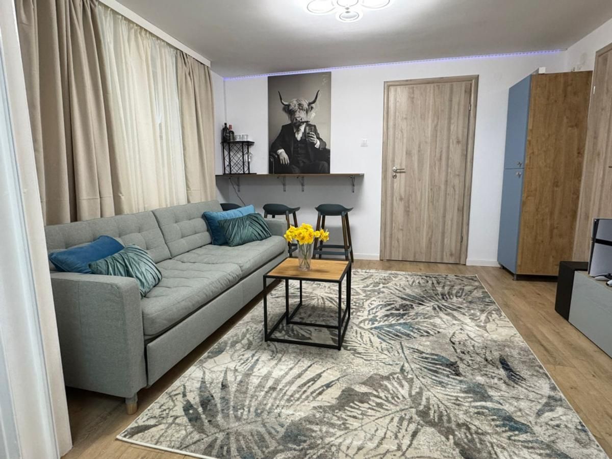 Apartament confortabil cu doua camere, Cismigiu- Casa Radio - Poză 3