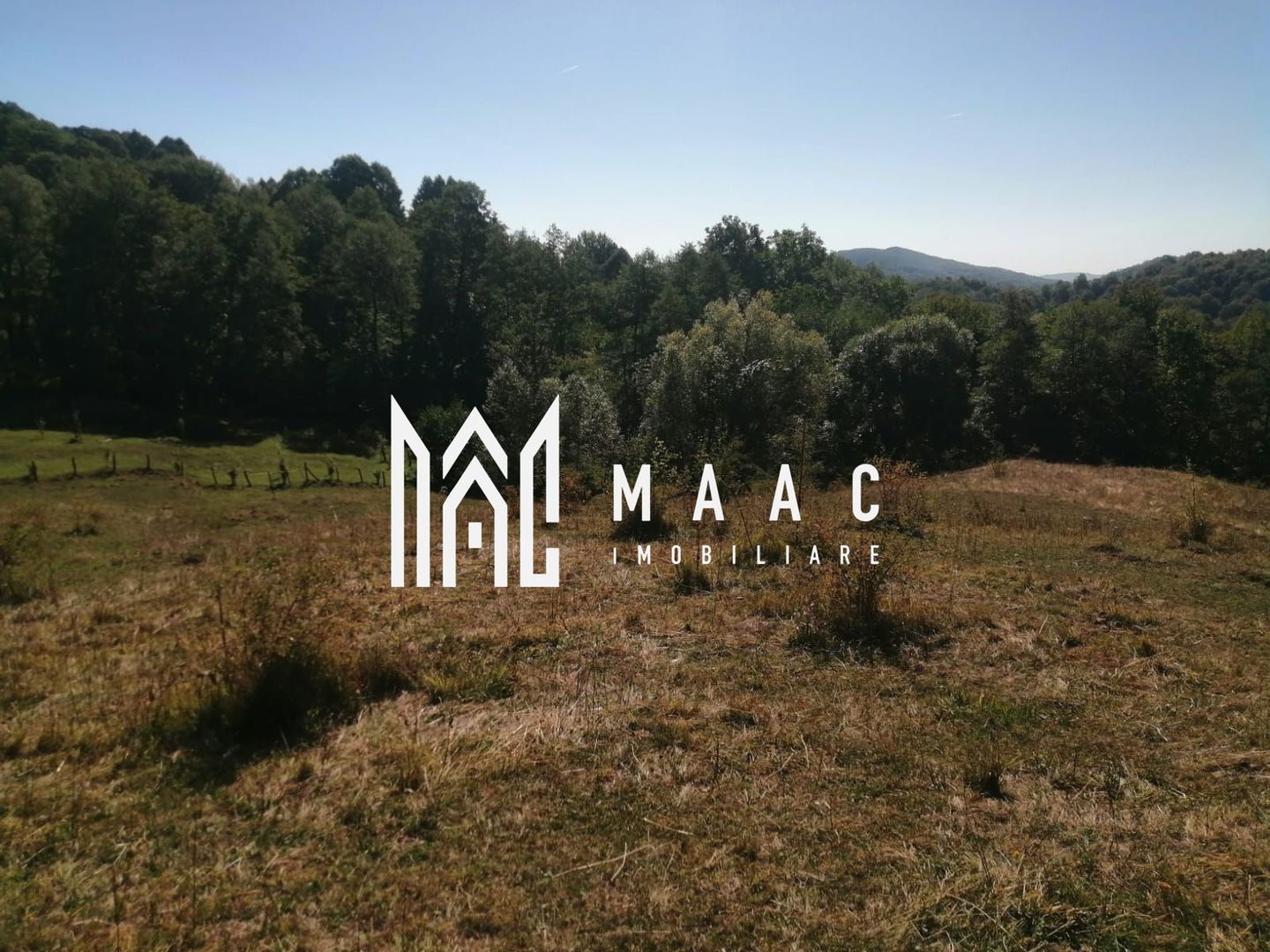 Teren Extravilan 20.000Mp I Stoenești -Vâlcea I Apă Curentă și Pădure - Poză 4