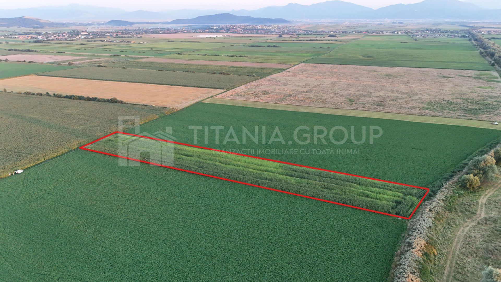 Teren extravilan, 8700 mp, pretabil agricultură sau investiție - Bod - Poză 1