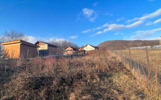 Teren Vladesti | 1025 MP | Zona White Department - Poză 3