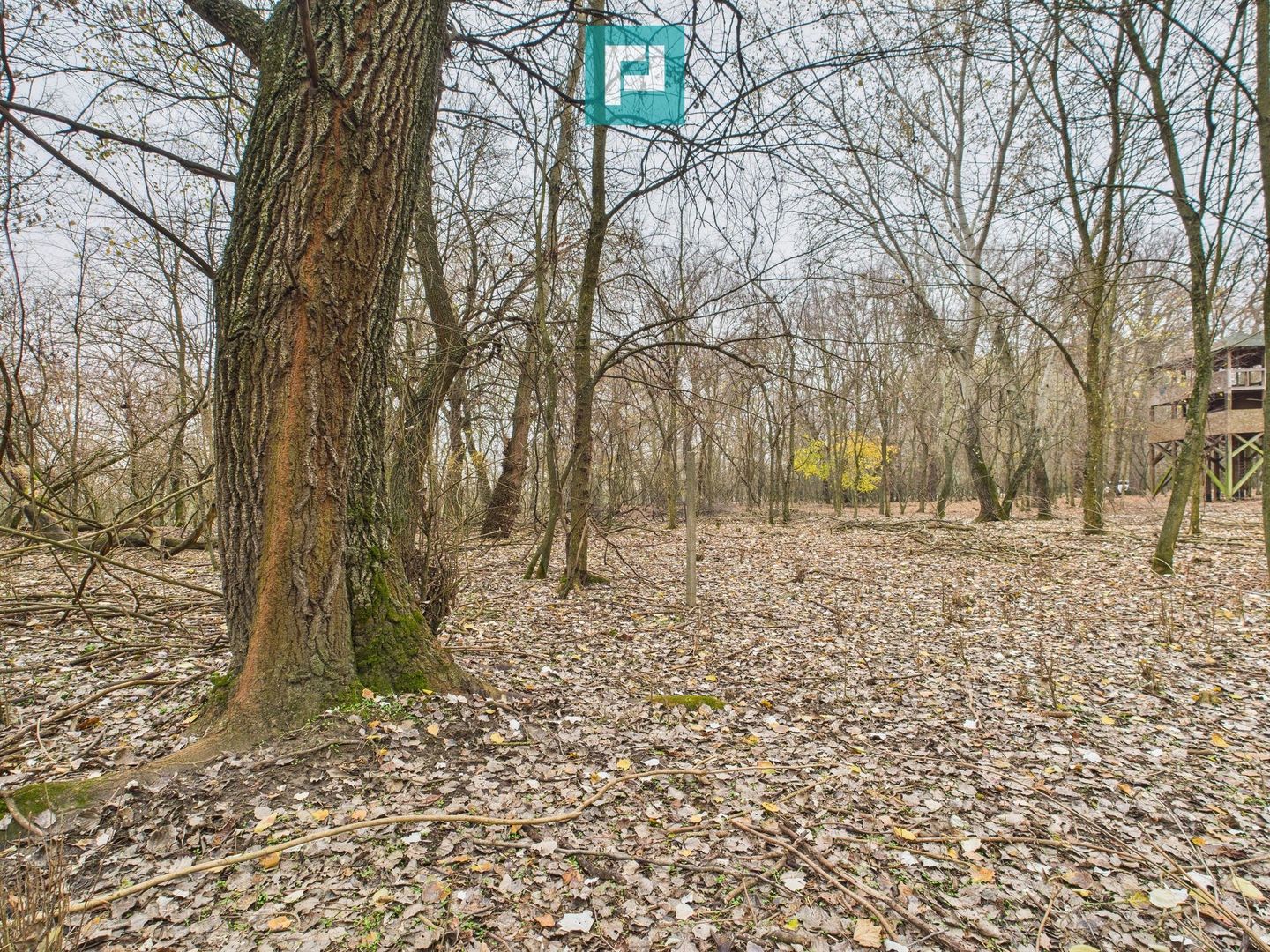 Teren pe malul Muresului- oportunitati multiple - Poză 32