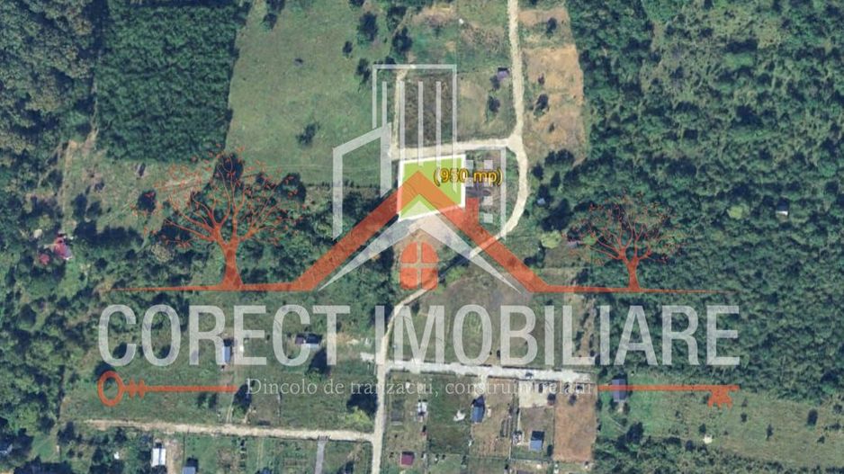 🌿 Teren de vânzare – Valea Budacului - Poză 3