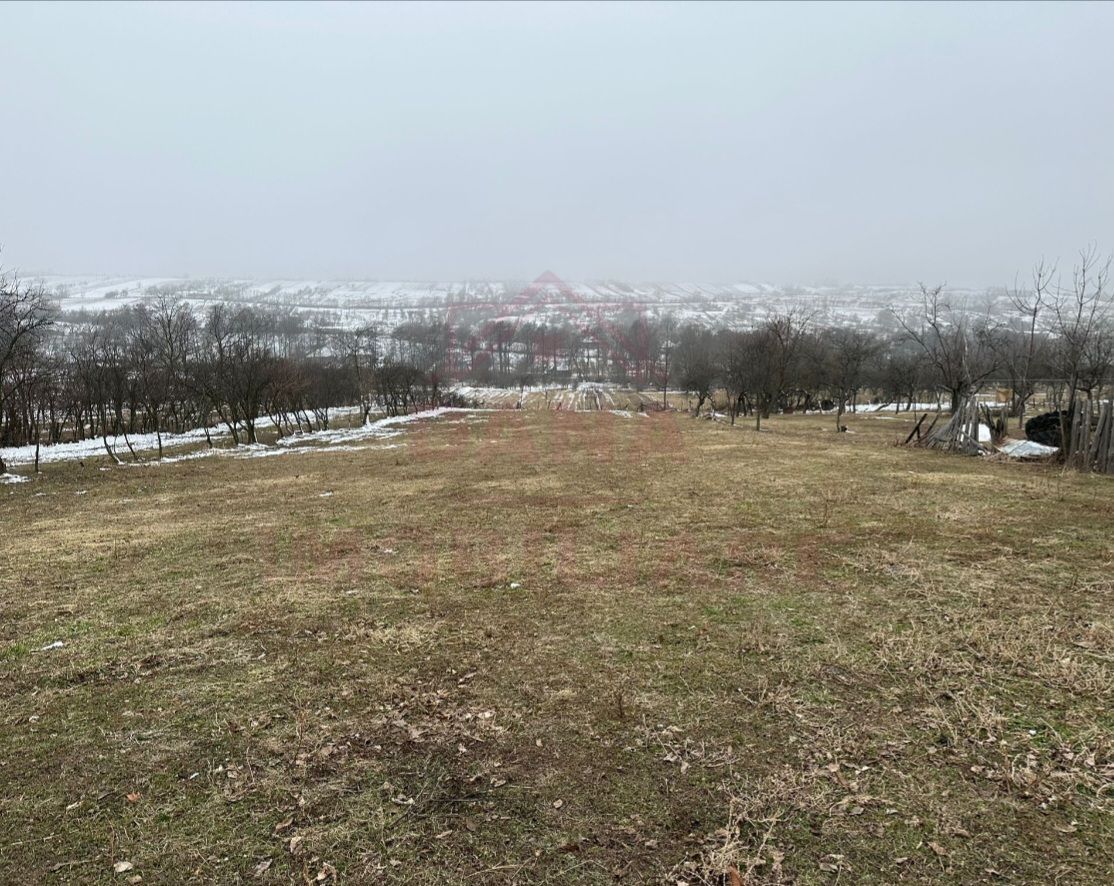 CASĂ DE VÎNZARE ÎN ILOVA\7 CAMERE, JUD.CARAȘ-SEVERIN - Poză 8