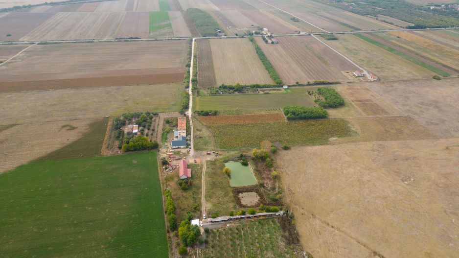 Teren intravilan cu iazuri și casă - Chișineu-Criș - Poză 15