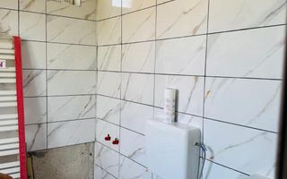 Hala 373 mp + teren in Santaul Mic - Poză 8