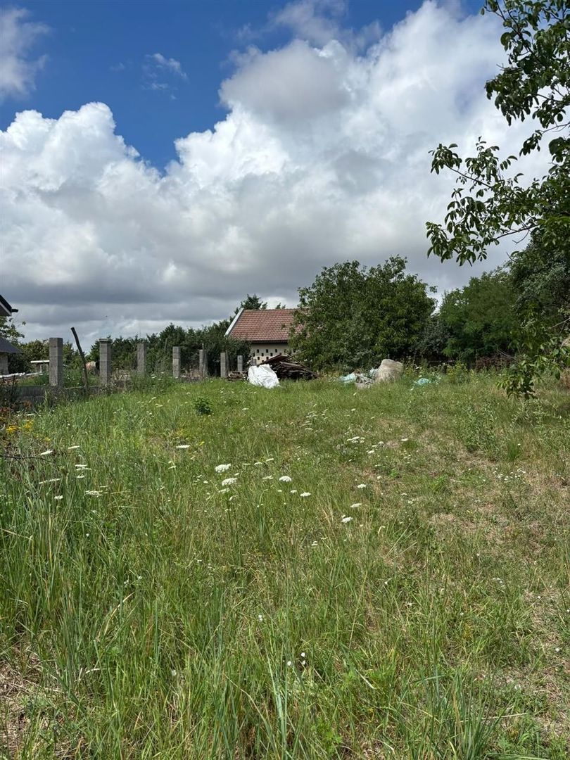 Teren intravilan in centru Paleu - Poză 2