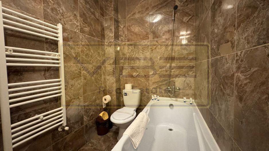 Apartament 1 camera TIP STUDIO  zona Tudor Office Center - Parc Oancea - Poză 13