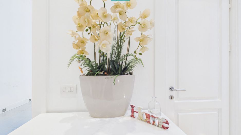 Apartament deosebit în clădire istorică central - Poză 4