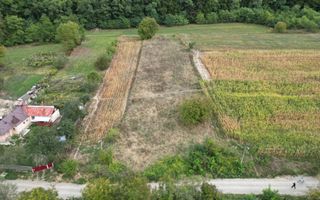 Teren intravilan lângă pădure, Racova - Poză 5