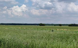 Casa Ciocanesti Cretu - 2 camere cu teren 2539 mp  - Jud. Dambovita - Poză 28