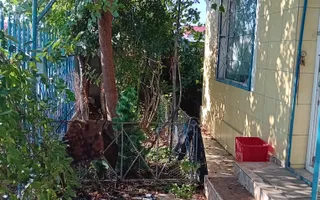 PROPRIETATE P+P1 CU 10 CAMERE – DE ÎNCHIRIAT SAU DE VÂNZARE - Poză 15