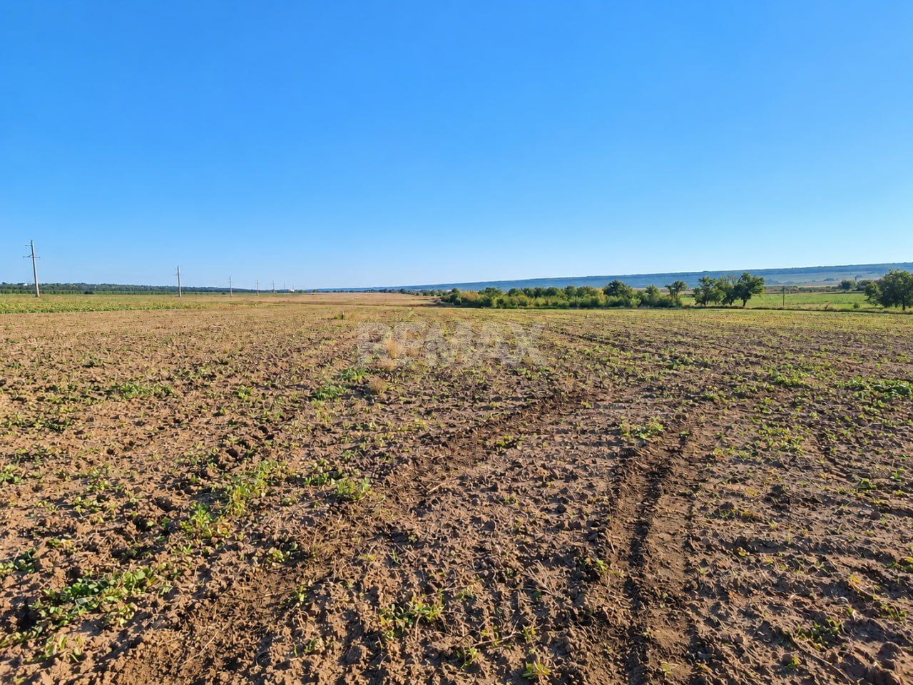 4,85 HA CU DESCHIDERE DE 300 M LA TRASEU | CRIULENI – SLOBOZIA-DUȘCA - Poză 4