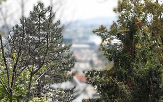 Casa individuala, Teren 978mp, Grigorecu!! - Poză 5