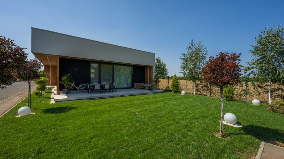 Vila Superba - Snagov Lac - Comunitate - Piscina - Ponton - Poză 46