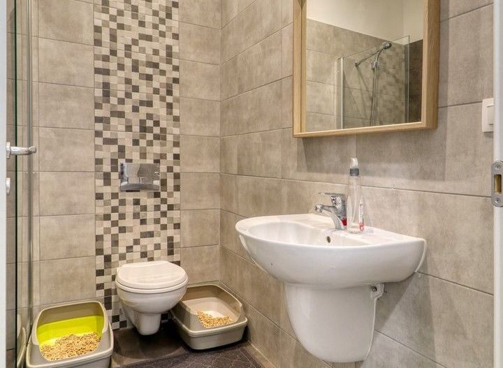 Pipera- New Point Villas- Vilă modernă 5 camere- La cheie- comision0% - Poză 20