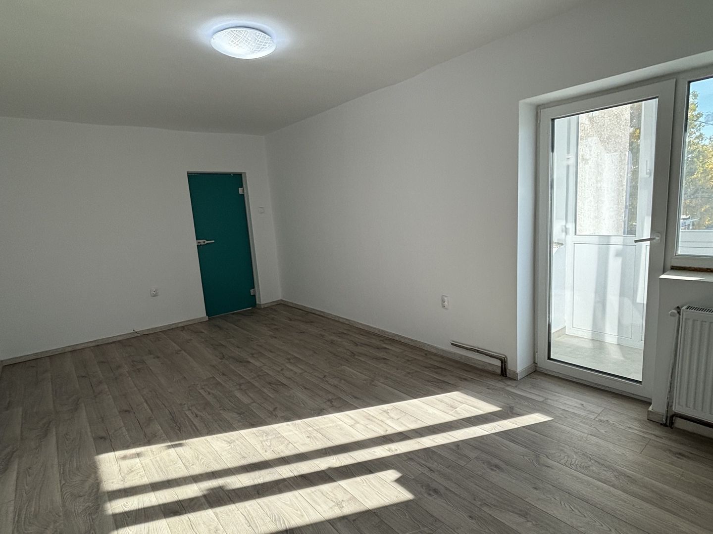 Renovat in zona Sagului - Poză 3