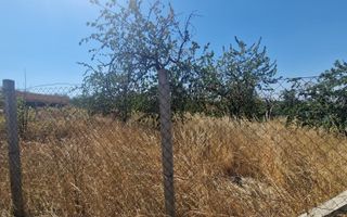 Teren Intravilan | Imprejmuit | 1000 mp | Paleu | Bihor - Poză 4