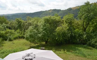Casa renovata la tara complet -mobilata si utilata - Poză 18