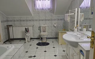 VILĂ IMPRESIONANTĂ CU PARC PRIVAT | 400 mp Construiți | 2.800 mp Teren - Poză 39