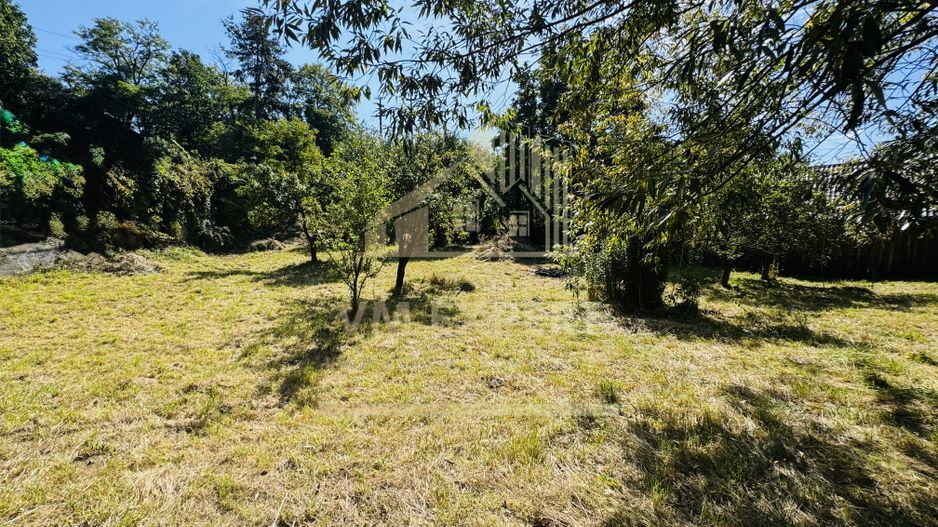 TEREN INTRAVILAN 3234 MP LEREȘTI VOINEȘTI ARGEȘ - Poză 22