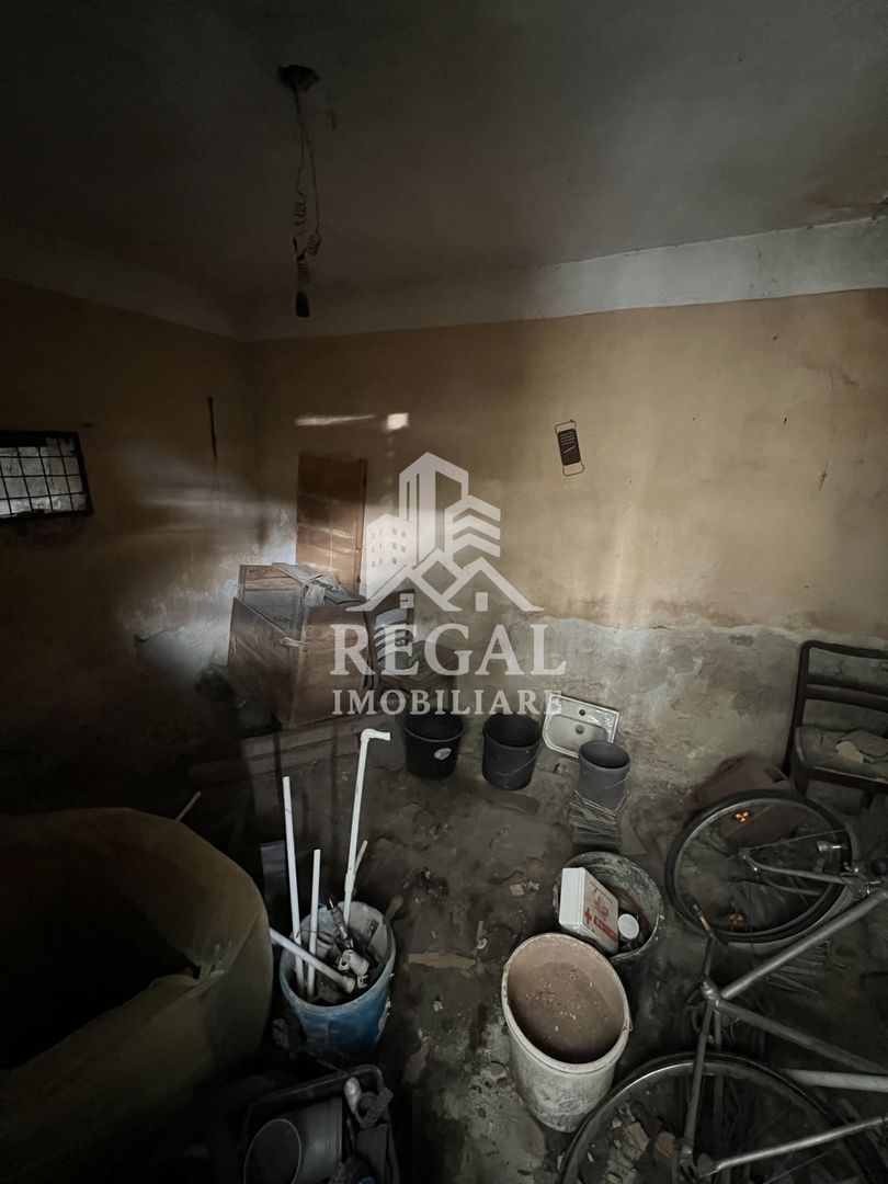 Casă de vânzare în Călanul Mic –  2 clădiri, curte, grădină, garaj - Poză 10