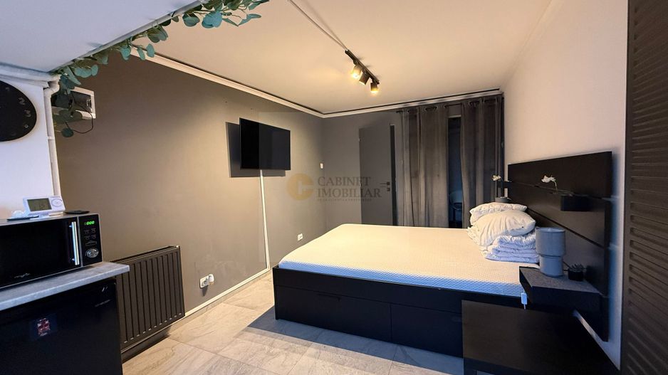 Garsoniera  I Victoriei- Bulevard Lascar Catargiu - Poză 3