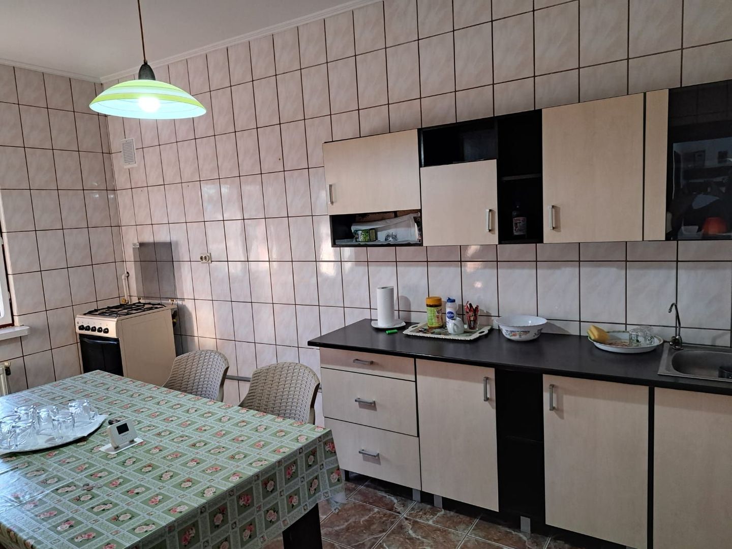 OFERTA in Băcia. Hunedoara ! Proprietate 2 case + Cabană - Poză 11