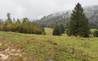 Teren Extravilan | 6.100 mp | Brodina | 41.500 € negociabil - Poză 9