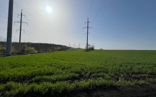 Teren 41,49 ari Ghidighici | deschidere 122 m | agricol | investiție - Poză 11