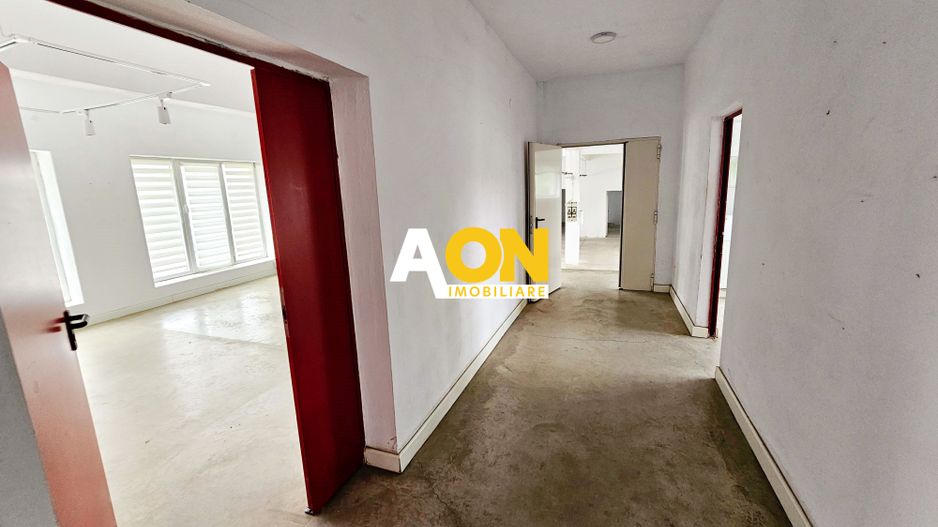 Spatiu industrial pentru productie sau depozitare, 1600 mp, Sebes - Poză 18