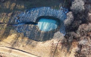 Teren pasune si padure 2,4ha - Poză 6