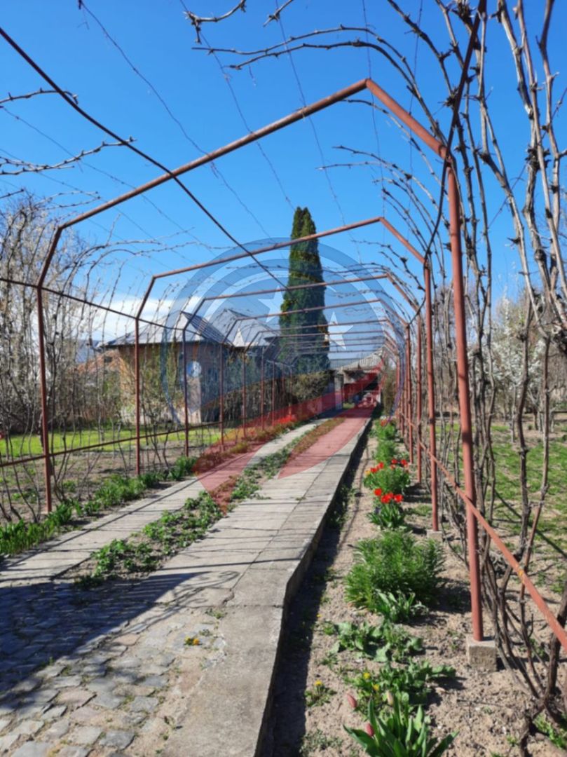 Casa de vanzare/Balcesti/Valcea/Str Pietii - Poză 16