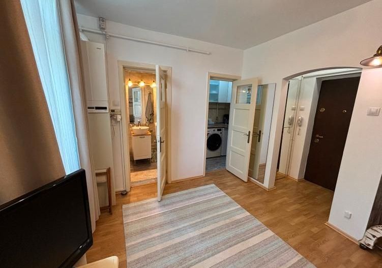 GARSONIERA RENOVATA | CENTRALA PROPRIE | PRIMAVERII - Poză 8