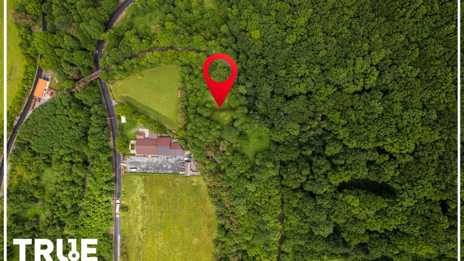 Teren intravilan 2.800 m² în Câmpu Cetății – liniște și natură - Poză 8
