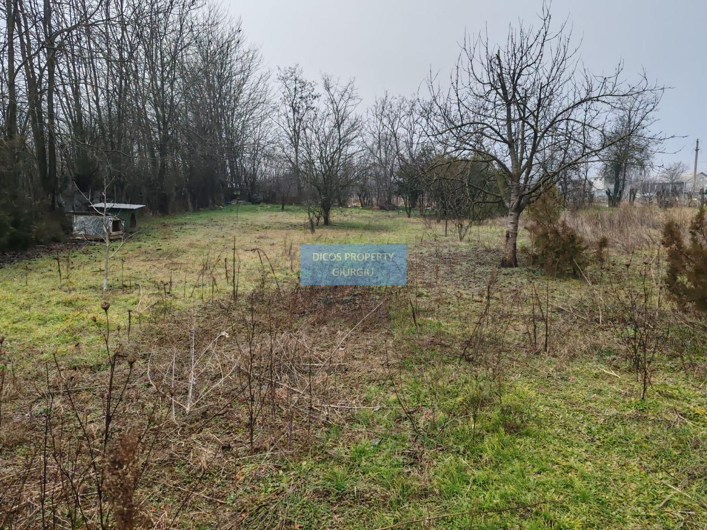 Teren 2.600 mp, utilități, Str. Merișor – Giurgiu - Poză 6