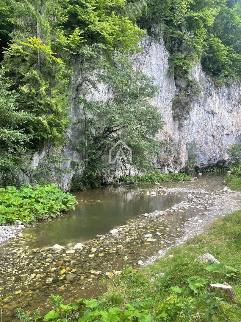Teren pentru investiție turistică în Dâmbovicioara – Baranga | 4.500 mp | Front ~102 ml - Poză 22